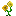 Gemini Orchid