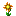 Sunshine Lily