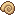 Snail Shell