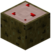 Dragon Wood Log