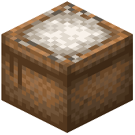 Bag of Rice