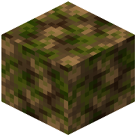 Forest Camo Block