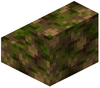Forest Camo Stairs