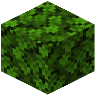 Leaf Camo Block