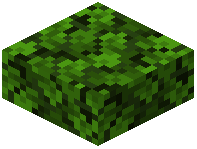 Leaf Camo Slab