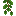 Grape Vine Bottom