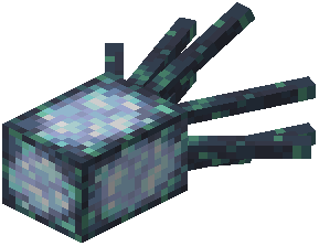 Statue Squid (Horizontal Open)