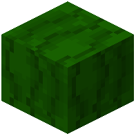 Green Curtain