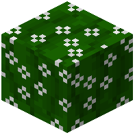 Green Curtain Starred
