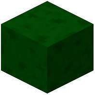 Green Facade Wall
