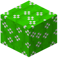 Lime Curtain Starred