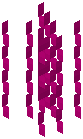 Magenta Curled Streamer
