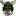 Mangle Scare Animatronic