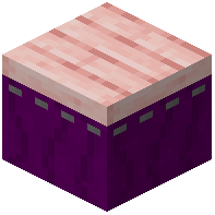 Purple Curtain Stage Cherry