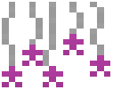 Hanging Purple Stars