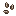 Celeryseed