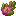 Dragonfruit