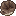 Dryblackfungus