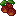 Lychee