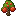 Nectarinesapling