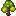 Pearsapling