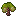 Pistachionutsapling