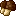 Pleurotuseryngii
