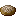 Pleurotuseryngiiwithsaltandpepper
