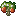 Pomegranatesapling