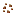 Radishseed