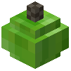 Rawgreenplum