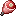 Rawpigleg