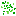 Scallion 2