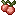 Temperatewildfruit