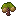 Walnutsapling