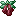 Wildfruitincoldzone