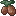 Wildtuberplants