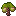 Winterjujubesapling