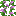 Lilac Vine
