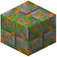 Orange Tulip Mossy Stone Brick