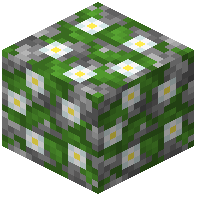Oxeye Daisy Mossy Cobblestone