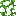 Oxeye Daisy Vine