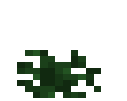 Peony Bush