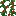 Poppy Vine
