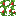 Red Tulip Vine