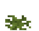 Spore Blossom Bush