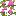 Spore Blossom Vine