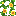 Sunflower Vine