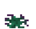 Torchflower Bush