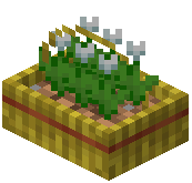 White Tulip Basket